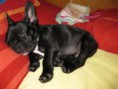 /album/fotogaleria/img-0853-2-jpg/
